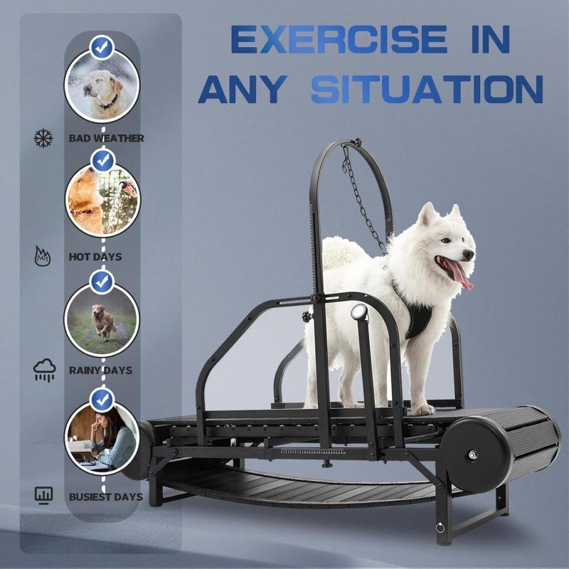 PawEquip Indoor Dog Treadmill with Fitness Tracker