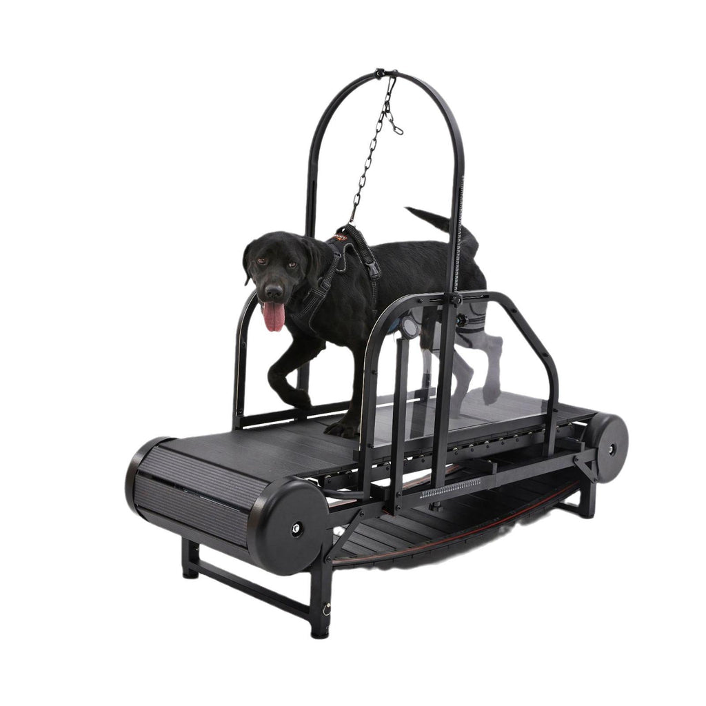 PawEquip Indoor Dog Treadmill with Fitness Tracker