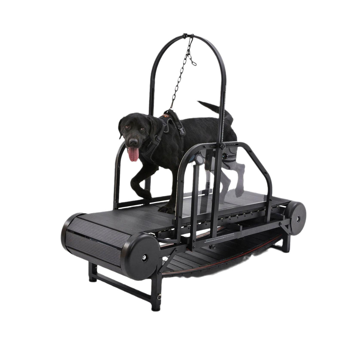 PawEquip Indoor Dog Treadmill with Fitness Tracker