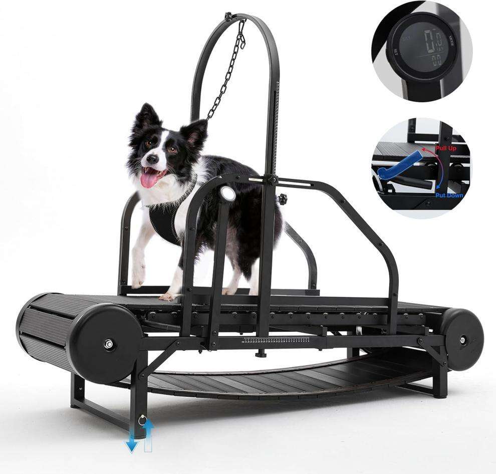 PawEquip Indoor Dog Treadmill with Fitness Tracker
